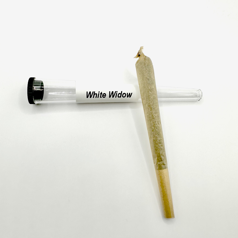 Pré-roulé White Widow – 3 X filtré