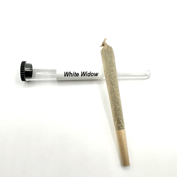 Pré-roulé White Widow 22% CBD